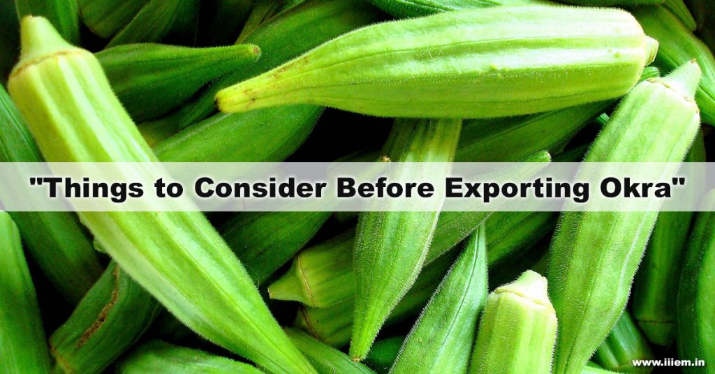 Okra Export India