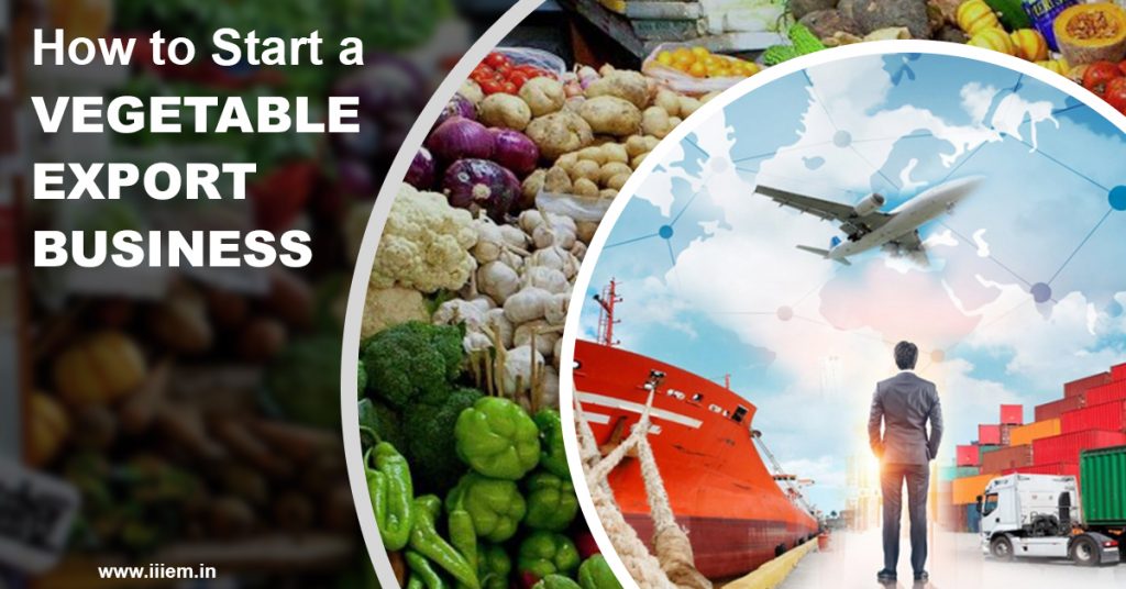 How to Start a Vegetable Export Business