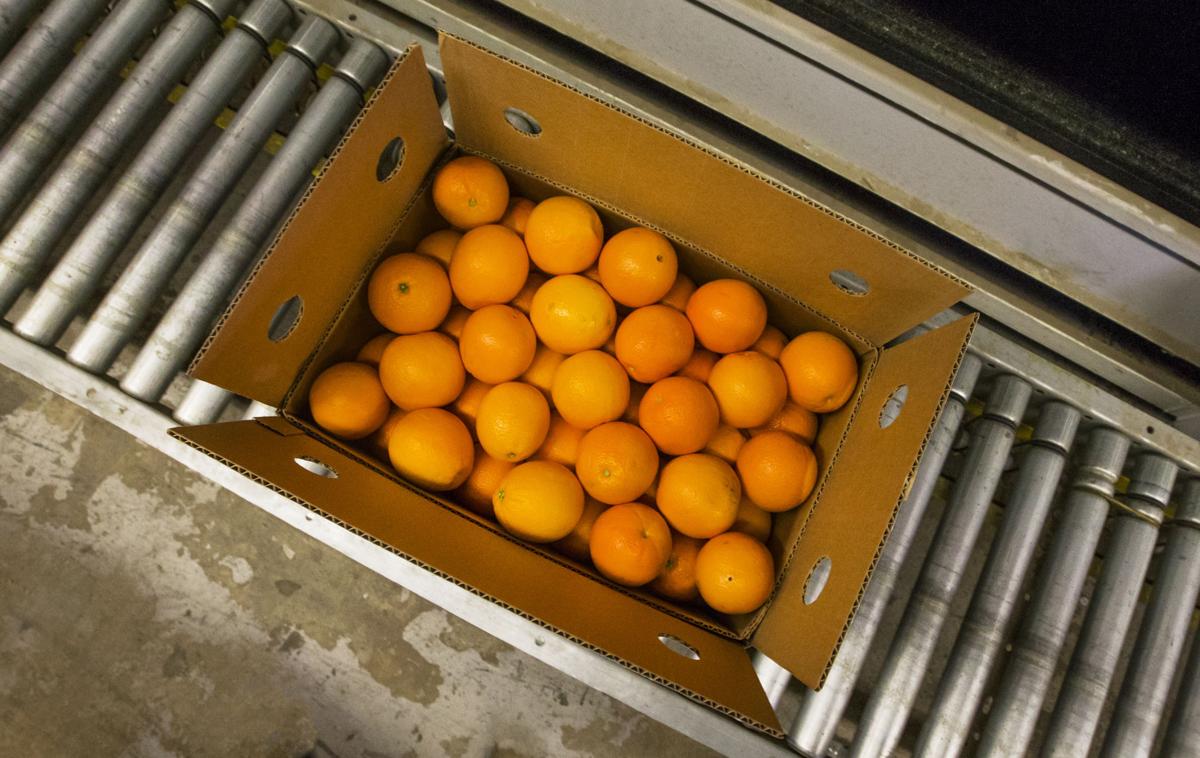 How to send Samples to a Foreign Buyer – Official Blog of iiiEM