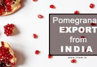 Pomegranate Export