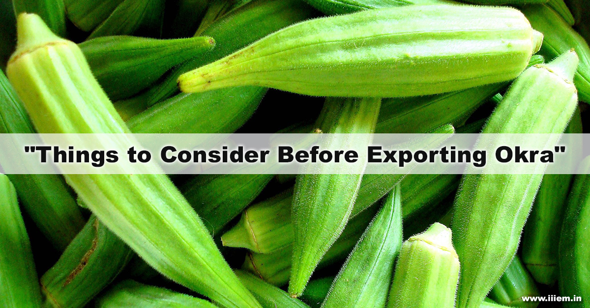 Okra Export Official Blog of iiiEM