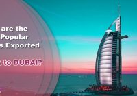 What are the most popular goods exported from india to dubai?