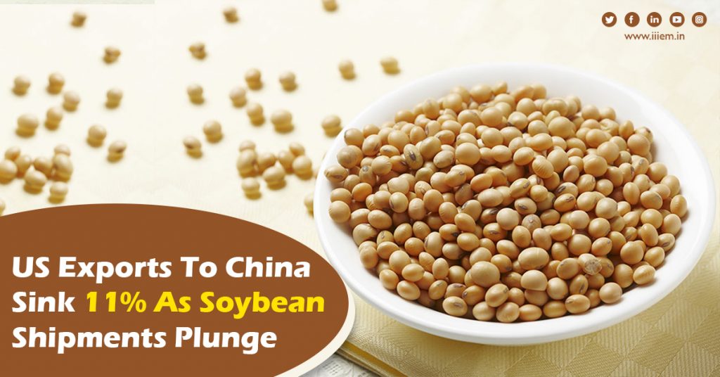 US-exports-to-China-sink-11-as-soybean-shipments-plunge