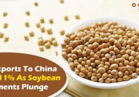 US-exports-to-China-sink-11-as-soybean-shipments-plunge
