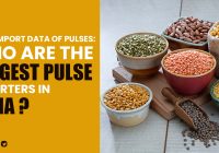India Import Data of Pulses