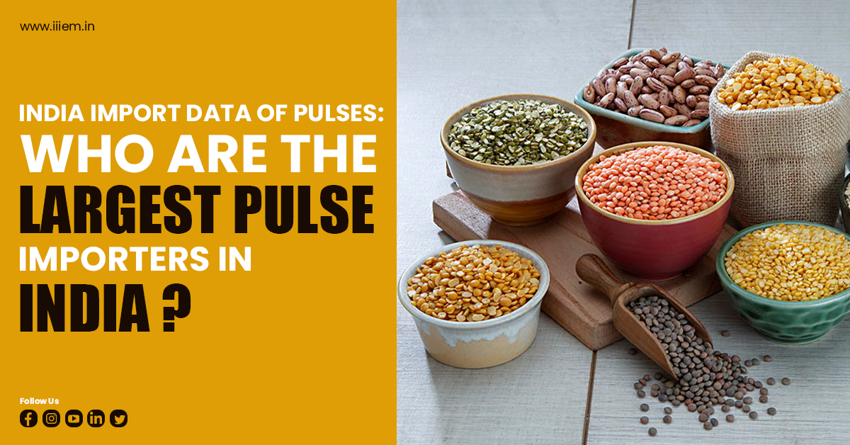 India Import Data of Pulses Who are the Largest Pulse Importers in